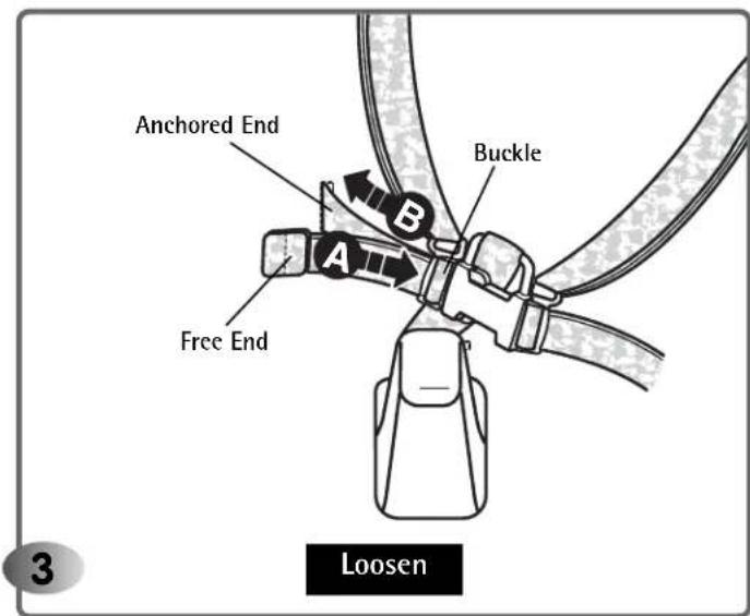 Anchored End Buckle A Free End Loosen