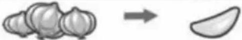 BOSCH ErgoMixx MSME7414CN - Note: - 15