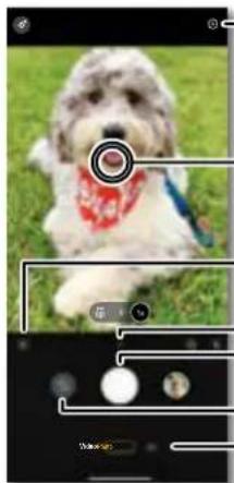 Close-up photo of a white dog wearing a red beanie, set on grass with no visible text or symbols.