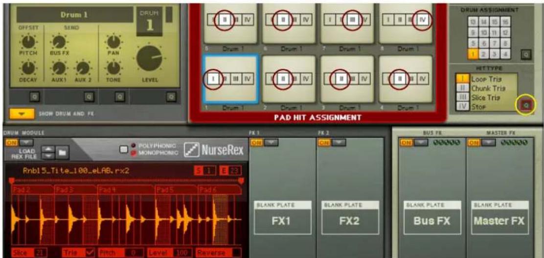 Drum 1 OFFSET SEND PITCH BUS FX PAN DECAY AUX 1 AUX 2 TONE LEVEL SHOW DRUM AND FE PAD HIT ASSIGNMENT DRUM MODULE ON LOAD REX FILE POLYPHONIC MONOPHONIC NurseRex Rnb15_Tite_100_eLAB, rx2 Pad 2 Pad 3 Pad 4 Pad 5 Pad 6 Sizc 21 Tris ✓ Pitch 0 Love 100 Reverse FRK 1 FRK 2 BLANK PLATE FX1 BLANK PLATE FX2 BUS FX MASTER FX ON ON ON ON BLANK PLATE Bus FX Master FX