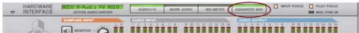 HARDWARE INTERFACE RS10 M-RuOio FW RS10 ACTIVE AUDIO DRIVER AUDIO I/O MORE AUDIO BIG METER ADVANCED MIDI INPUT FOCUS PLAY FOCUS MIDI SYNC IN SAMPLINS INPUT AUDIO INPUT AUDIO OUTPUT MONITOR