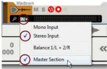 Mixdown IN* Mono Input Stereo Input Balance 1/L + 2/R Master Section