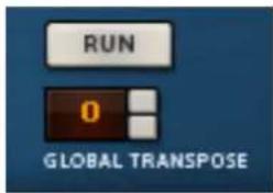 RUN 0 GLOBAL TRANSPOSE