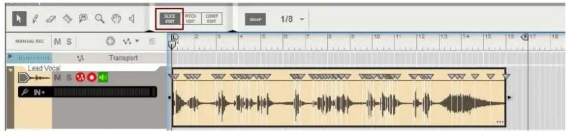 SALAD PITCH EDIT COMP EDIT 1/8 MANUAL REC M S Transport Lead Vocal M S N
