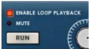 ENABLE LOOP PLAYBACK MUTE RUN