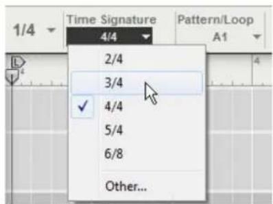 Time Signature 4/4 2/4 3/4 ✓ 4/4 5/4 6/8 Other...