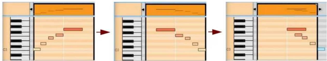 PROPELLERHEAD Reason Lite 10.3 - Reverse - 3