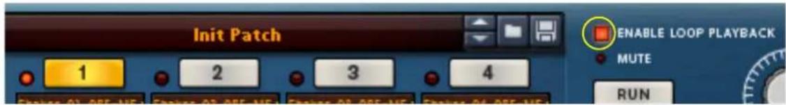 Init Patch 1 2 3 4 ENABLE LOOP PLAYBACK MUTE RUN