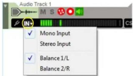 Audio Track 1 M S IN Mono Input Stereo Input Balance 1/L Balance 2/R