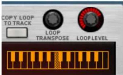 COPY LOOP TO TRACK LOOP TRANSPOSE LOOP LEVEL
