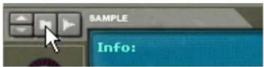 SAMPLE Info: