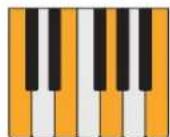 PROPELLERHEAD Reason Lite 10.3 - Pattern - 2
