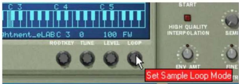 C 3 C 4 C 5 Rhtment_eLAB C 3 0 100 FW ROOTKEY TUNE LEVEL LOOP START HIGH QUALITY INTERPOLATION SEMI ENV AMT FINE Set Sample Loop Mode