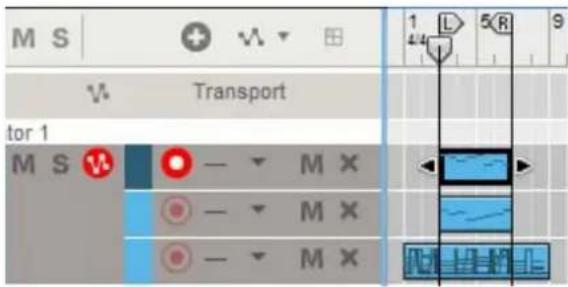 M S Transport tor 1 M S - M X - M X - M X