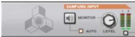 SAMPLING INPUT MONITOR AUTO LEVEL