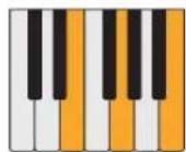 PROPELLERHEAD Reason Lite 10.3 - Pattern - 8