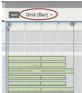 SNAP Grid (Bar)