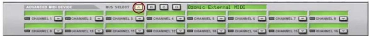 ADVANCED MIDI DEVICE BUS SELECT B C D Dzonic External MIDI CHANNEL 1 CHANNEL 2 CHANNEL 3 CHANNEL 4 CHANNEL 5 CHANNEL 6 CHANNEL 7 CHANNEL 8 CHANNEL 9 CHANNEL 10 CHANNEL 11 CHANNEL 12 CHANNEL 13 CHANNEL 14 CHANNEL 15 CHANNEL 16