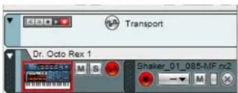 Transport Dr. Octo Rex 1 M S Shaker_01_085-MF.rx2 - - M