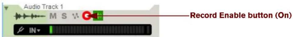 Audio Track 1 M S V Record Enable button (On) IN
