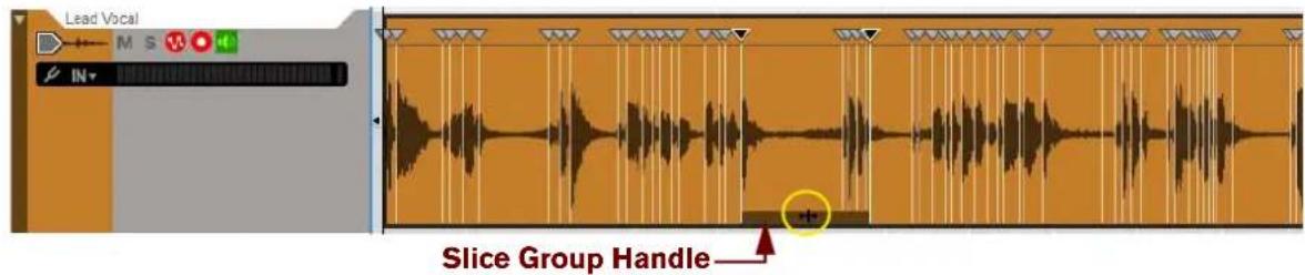 Lead Vocal M S V IN Slice Group Handle