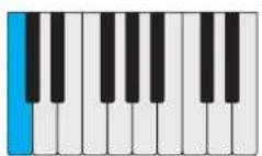 PROPELLERHEAD Reason Lite 10.3 - Pattern - 45