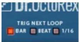 Dr.OctoRex TRIG NEXT LOOP BAR BEAT 1/16