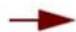 PROPELLERHEAD Reason Lite 10.3 - Pattern - 22