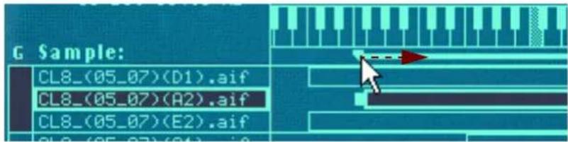 G Sample: CL8_(05_07)(D1).aif CL8_(05_07)(A2).aif CL8_(05_07)(E2).aif