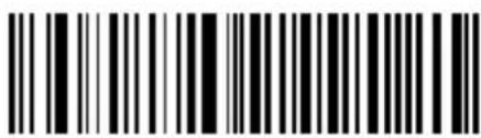 Newland Piranha BS8050-3V - Time Stamp - 2