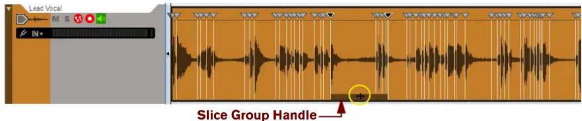 Lead Vocal M S V IN Slice Group Handle