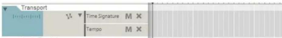 Transport Time Signature M × Tempo M ×