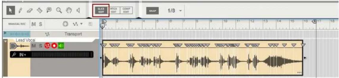 SLICE EDIT RITCH EDIT COMP EDIT MANUAL REC M S Transport Lead Vocal M S N V