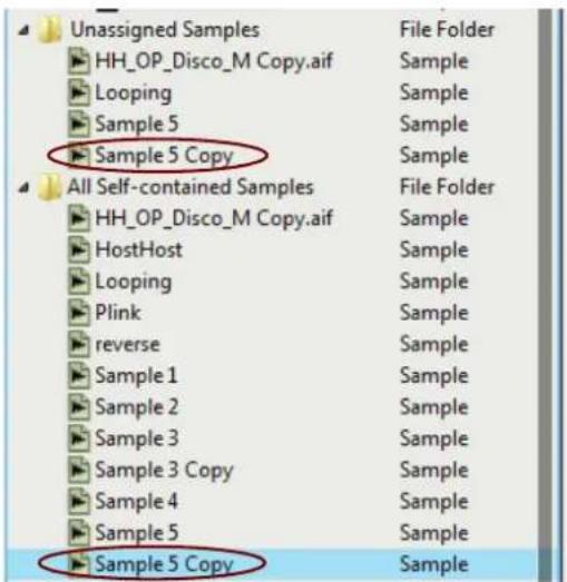 Unassigned Samples HH_OP_Disco_M Copy.aif Looping Sample 5 Sample 5 Copy All Self-contained Samples HH_OP_Disco_M Copy.aif HostHost Looping Plink reverse Sample 1 Sample 2 Sample 3 Sample 3 Copy Sample 4 Sample 5 Sample 5 Copy File Folder Sample Sample Sample Sample Sample Sample Sample Sample Sample Sample Sample Sample Sample