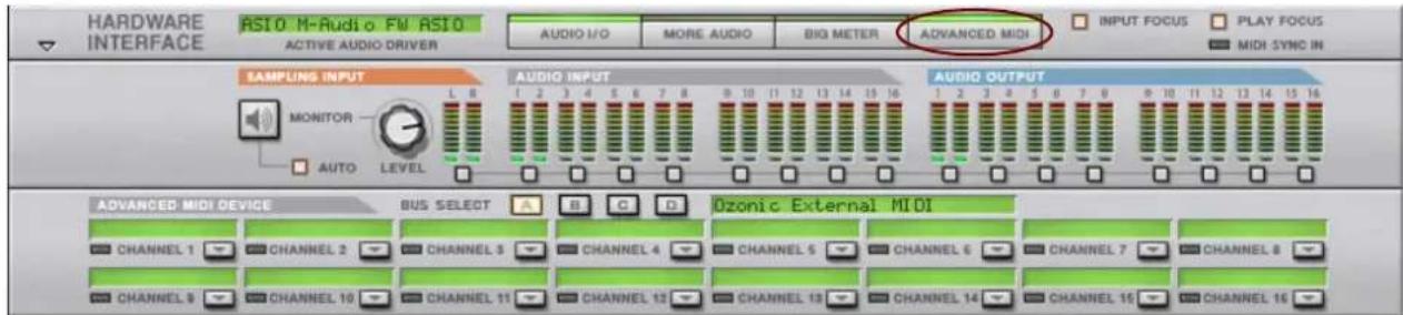 HARDWARE INTERFACE RS10 M-Radio FW RS10 ACTIVE AUDIO DRIVER AUDIO I/O MORE AUDIO BIG METER ADVANCED MIDI INPUT FOCUS PLAY FOCUS MIDI SYNC IN SAMPLING INPUT AUDIO INPUT AUDIO OUTPUT MONITOR 1 2 3 4 5 6 7 8 9 10 11 12 13 14 15 16 AUTO LEVEL 1 2 3 4 5 6 7 8 9 10 11 12 13 14 15 16 ADVANCED MIDI DEVICE BUS SELECT A B C D Ozonic External MIDI CHANNEL 1 CHANNEL 2 CHANNEL 3 CHANNEL 4 CHANNEL 5 CHANNEL 6 CHANNEL 7 CHANNEL 8 CHANNEL 9 CHANNEL 10 CHANNEL 11 CHANNEL 12 CHANNEL 13 CHANNEL 14 CHANNEL 15 CHANNEL 16