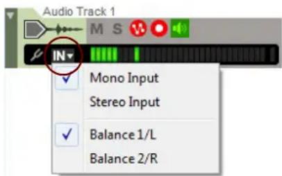 Audio Track 1 IN Mono Input Stereo Input Balance 1/L Balance 2/R