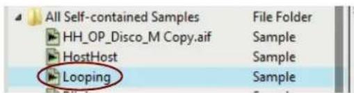 All Self-contained Samples HH_OP_Disco_M Copy.aif HostHost Looping File Folder Sample Sample Sample