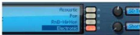 Acoustic Pop RnB-HisHop Electronic SD-Tri Short