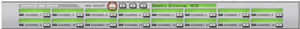 ADVANCED MIDI DEVICE BUS SELECT Ozonic External MIDI CHANNEL 1 CHANNEL 2 CHANNEL 3 CHANNEL 4 CHANNEL 5 CHANNEL 6 CHANNEL 7 CHANNEL 8 CHANNEL 9 CHANNEL 10 CHANNEL 11 CHANNEL 12 CHANNEL 13 CHANNEL 14 CHANNEL 15 CHANNEL 16