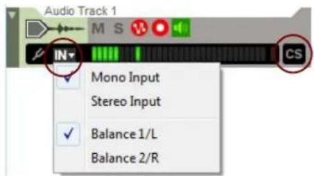 Audio Track 1 M S IN CS Mono Input Stereo Input Balance 1/L Balance 2/R