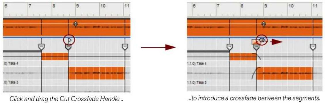 PROPELLERHEAD Reason Lite 11.3 - Assign a recording to the last segment of the clip. - 2