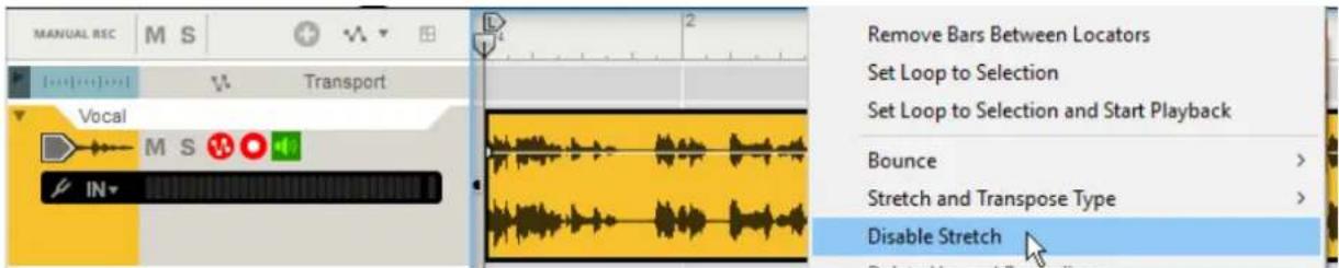 MANUAL REC M S Transport Vocal M S IN Remove Bars Between Locators Set Loop to Selection Set Loop to Selection and Start Playback Bounce Stretch and Transpose Type Disable Stretch Delete Hit and Repla