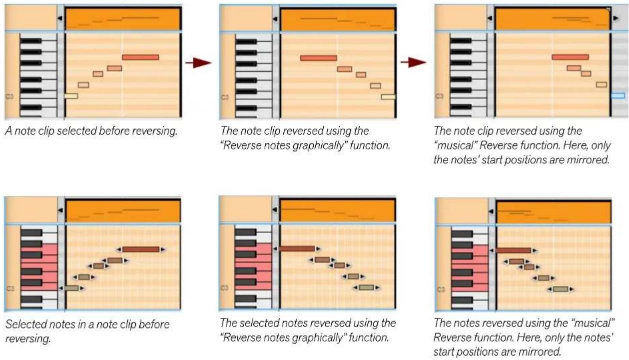 PROPELLERHEAD Reason Lite 11.3 - Reverse - 3