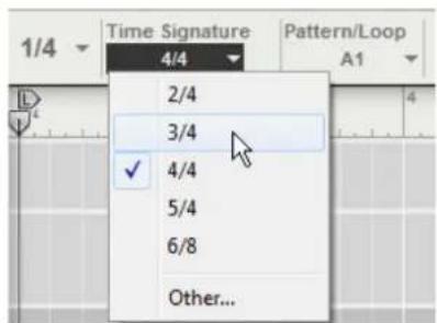 1/4 Time Signature 4/4 2/4 3/4 ✓ 4/4 5/4 6/8 Other...