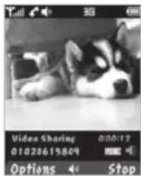 PANTECH Matrix - Using video share - 2