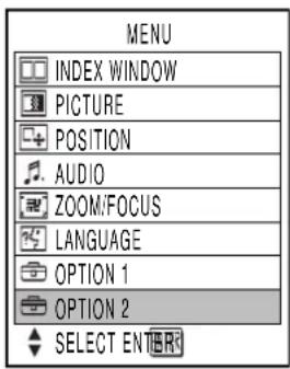 MENU INDEX WINDOW PICTURE POSITION AUDIO ZOOM/FOCUS LANGUAGE OPTION 1 OPTION 2 SELECT EN