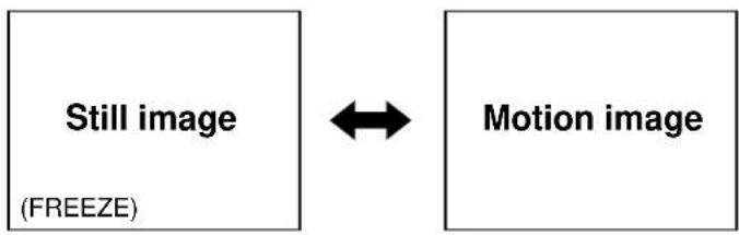 PANASONIC PT-L6510E - Using the Freeze function - 1