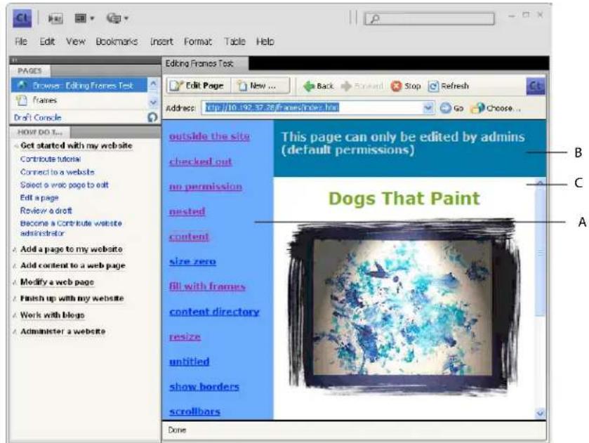 ADOBE Contribute CS4 - About frames - 1