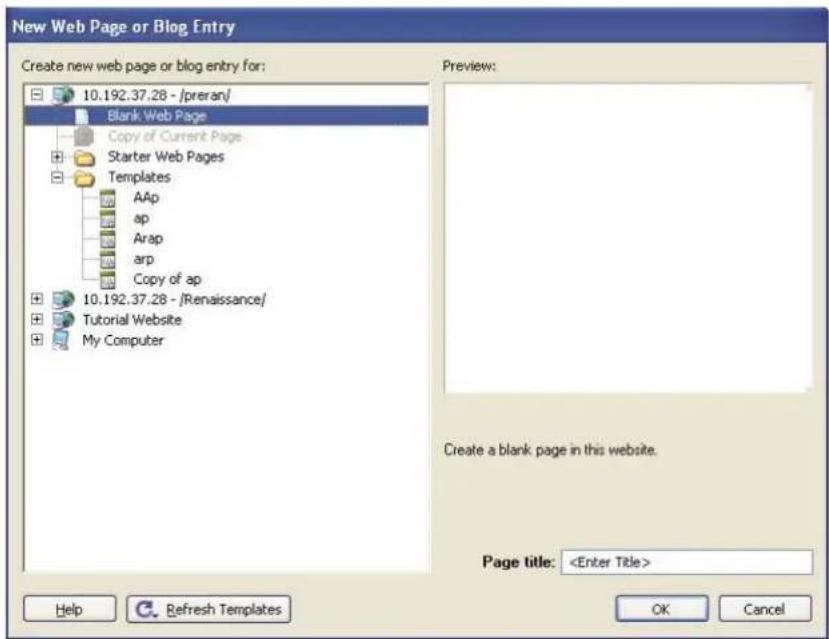 ADOBE Contribute CS4 - Copy a page on your website - 1