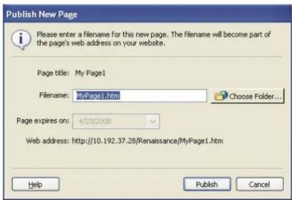 ADOBE Contribute CS4 - Publish a new page to your website - 2